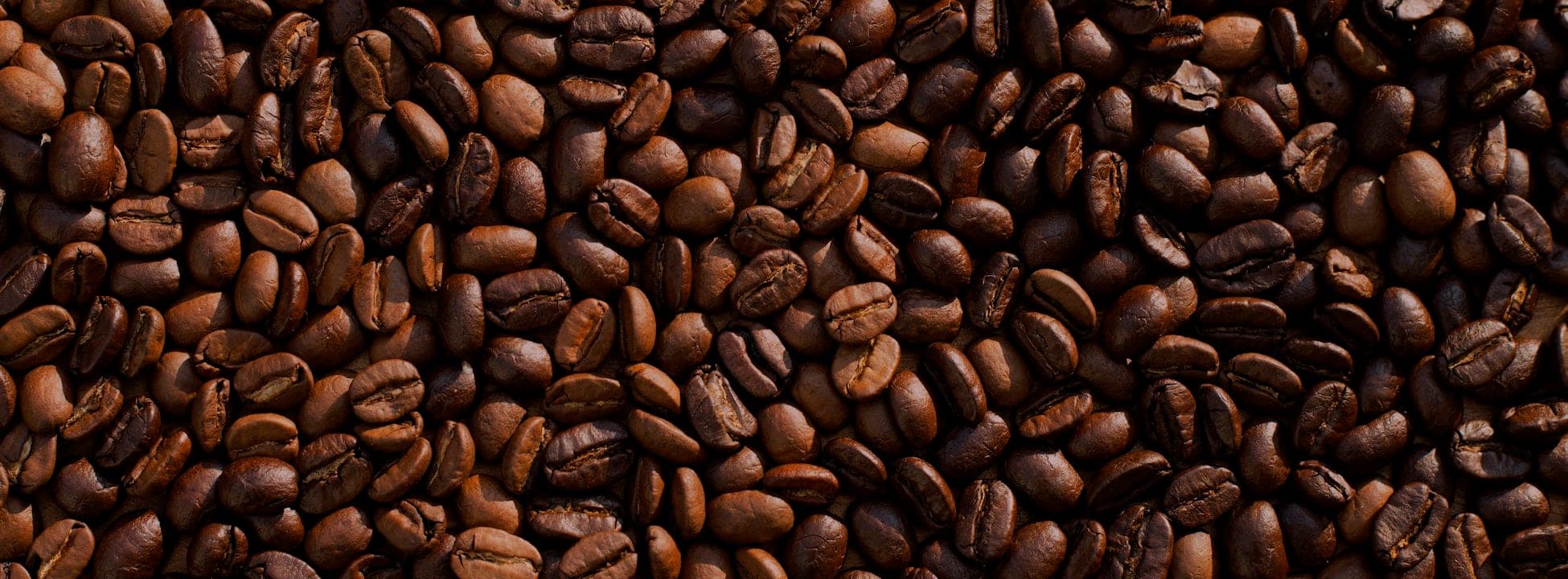 25% off at Causeway Coffee Co