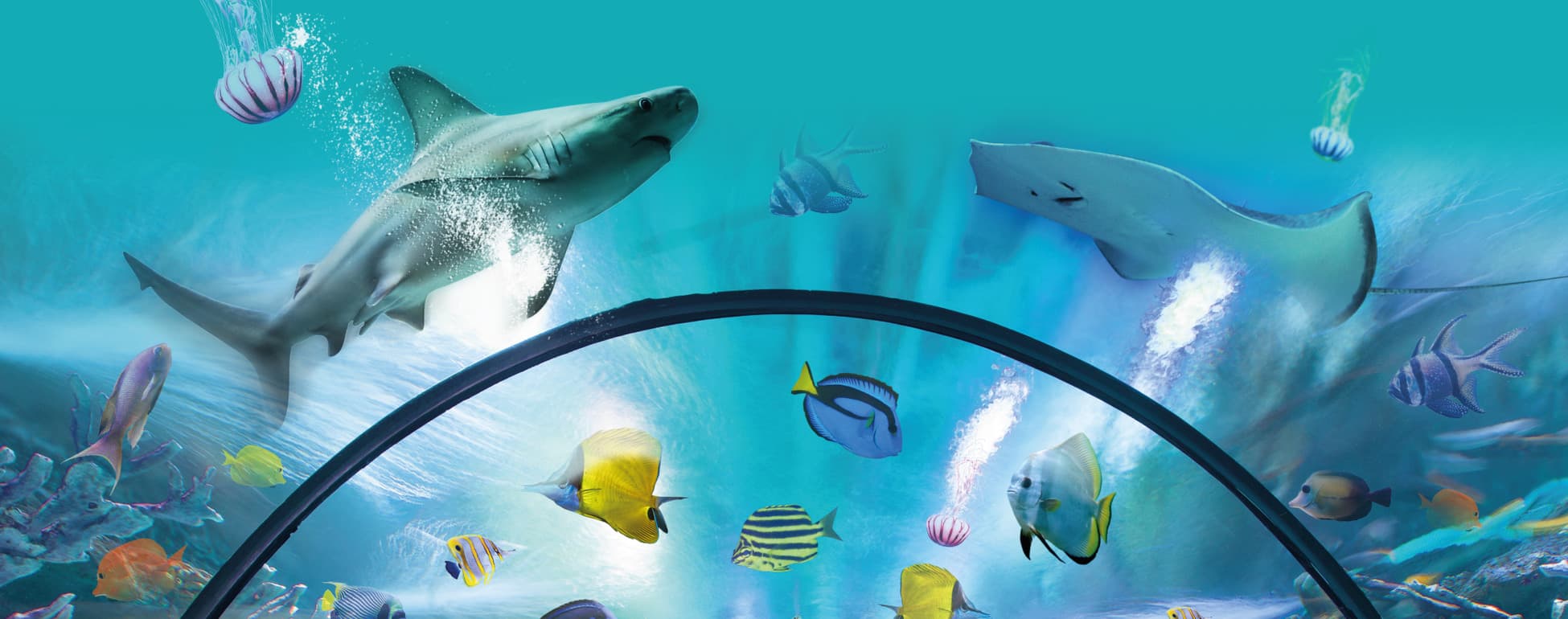 Exploris NI